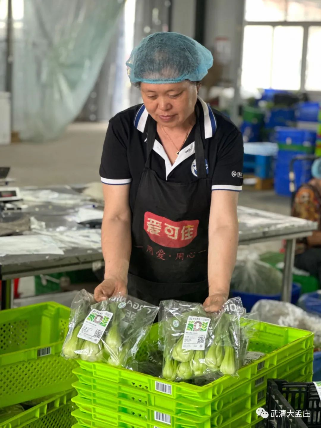 村民张秀芳刚刚贴好标签的蔬菜订单即将送往北京。
