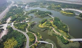  天津市违法占用湿地每平方米最高罚5000元
