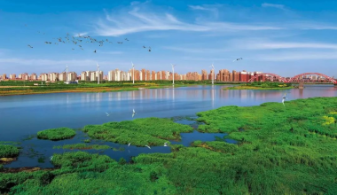 国新办表扬天津绿色低碳发展取得新成效